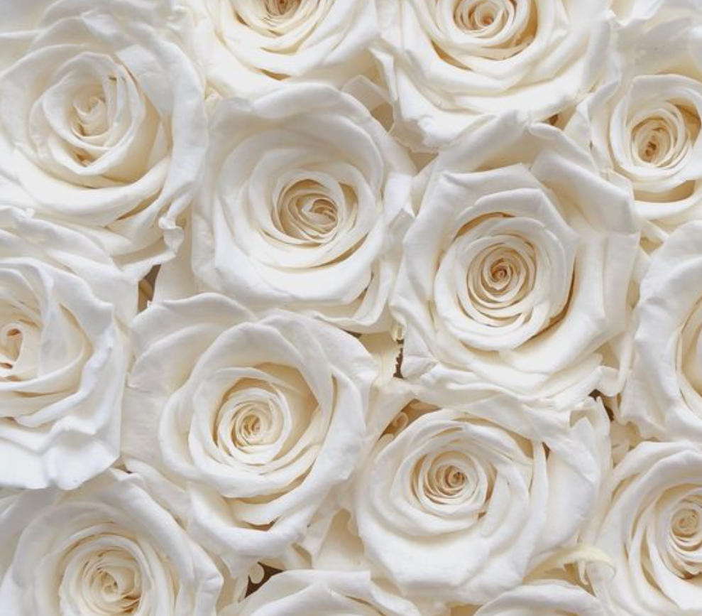 99 Roses