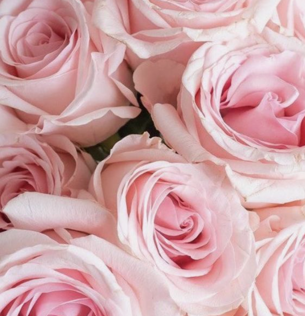 99 Roses