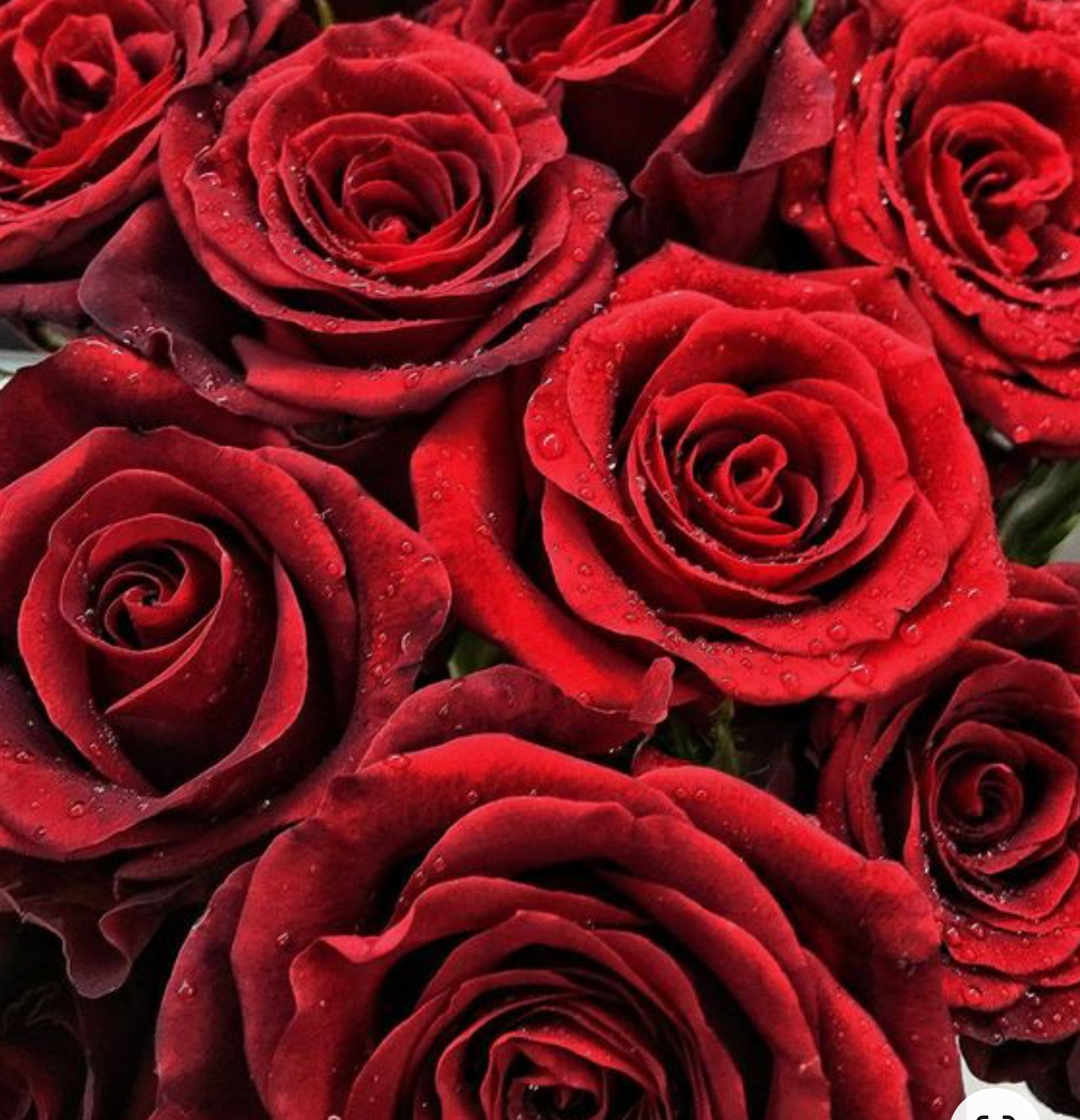 99 Roses
